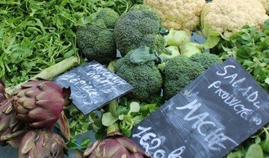 Inventive Vegetarian Cuisine Fueled by Fire and Fermentation